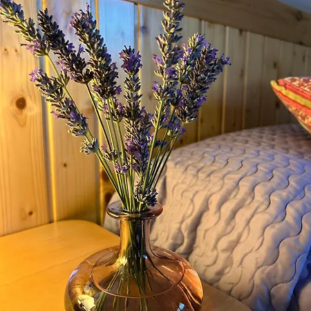 Habitacion Lila Bed & Breakfast Vidra